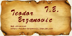 Teodor Brzanović vizit kartica